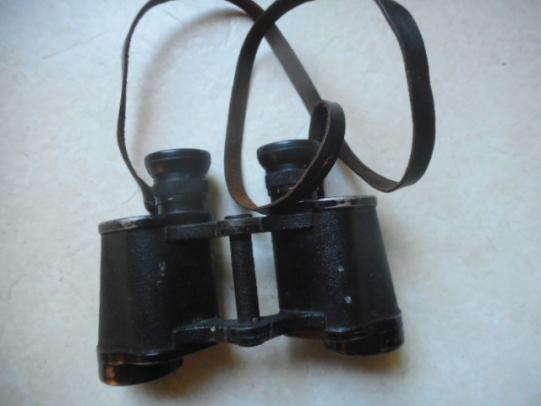 ORIGINAL WW2 GERMAN ARMY / WAFFEN SS  6X30 ddx DIENSTGLAS BINOCULARS