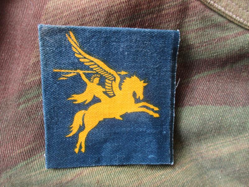 PARACHUTE REGIMENT para paratrooper 16 airborne division BLUE YELLOW PEGASUS