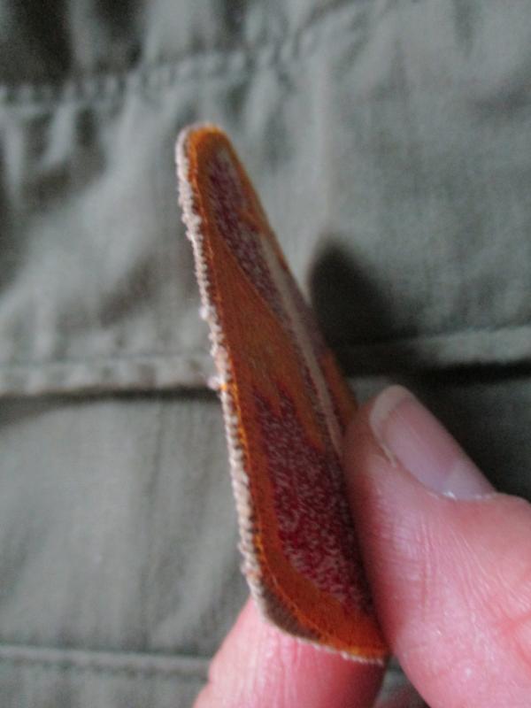 ORIGINAL us army MACV MAC V VIETNAM WAR SPECIAL FORCES BADGE PATCH cut edge