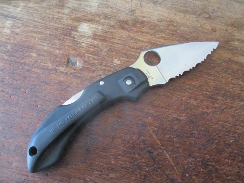 SPYDERCO mini small SERATED BLACK FOLDING CLIP POCKET KNIFE